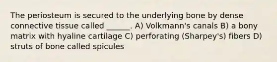 The periosteum is secured to the underlying bone by dense <a href='https://www.questionai.com/knowledge/kYDr0DHyc8-connective-tissue' class='anchor-knowledge'>connective tissue</a> called ______. A) Volkmann's canals B) a bony matrix with hyaline cartilage C) perforating (Sharpey's) fibers D) struts of bone called spicules