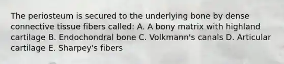 The periosteum is secured to the underlying bone by dense connective tissue fibers called: A. A bony matrix with highland cartilage B. Endochondral bone C. Volkmann's canals D. Articular cartilage E. Sharpey's fibers