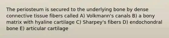 The periosteum is secured to the underlying bone by dense connective tissue fibers called A) Volkmann's canals B) a bony matrix with hyaline cartilage C) Sharpey's fibers D) endochondral bone E) articular cartilage