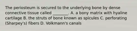 The periosteum is secured to the underlying bone by dense connective tissue called ________. A. a bony matrix with hyaline cartilage B. the struts of bone known as spicules C. perforating (Sharpey's) fibers D. Volkmann's canals