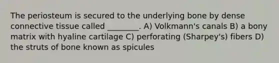 The periosteum is secured to the underlying bone by dense connective tissue called ________. A) Volkmann's canals B) a bony matrix with hyaline cartilage C) perforating (Sharpey's) fibers D) the struts of bone known as spicules