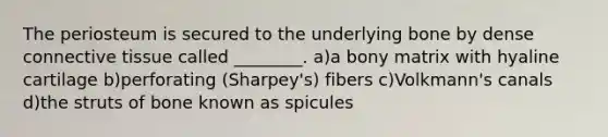 The periosteum is secured to the underlying bone by dense connective tissue called ________. a)a bony matrix with hyaline cartilage b)perforating (Sharpey's) fibers c)Volkmann's canals d)the struts of bone known as spicules