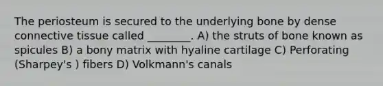 The periosteum is secured to the underlying bone by dense connective tissue called ________. A) the struts of bone known as spicules B) a bony matrix with hyaline cartilage C) Perforating (Sharpey's ) fibers D) Volkmann's canals