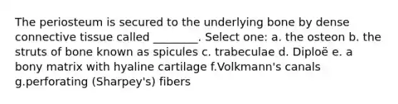 The periosteum is secured to the underlying bone by dense connective tissue called ________. Select one: a. the osteon b. the struts of bone known as spicules c. trabeculae d. Diploë e. a bony matrix with hyaline cartilage f.Volkmann's canals g.perforating (Sharpey's) fibers