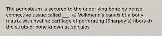 The periosteum is secured to the underlying bone by dense <a href='https://www.questionai.com/knowledge/kYDr0DHyc8-connective-tissue' class='anchor-knowledge'>connective tissue</a> called ___. a) Volkmann's canals b) a bony matrix with hyaline cartilage c) perforating (Sharpey's) fibers d) the struts of bone known as spicules