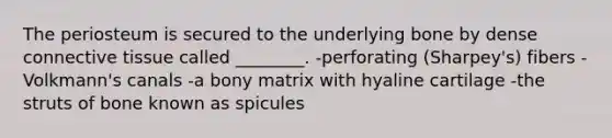 The periosteum is secured to the underlying bone by dense <a href='https://www.questionai.com/knowledge/kYDr0DHyc8-connective-tissue' class='anchor-knowledge'>connective tissue</a> called ________. -perforating (Sharpey's) fibers -Volkmann's canals -a bony matrix with hyaline cartilage -the struts of bone known as spicules