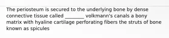 The periosteum is secured to the underlying bone by dense connective tissue called ________ volkmann's canals a bony matrix with hyaline cartilage perforating fibers the struts of bone known as spicules