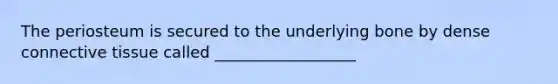 The periosteum is secured to the underlying bone by dense connective tissue called __________________