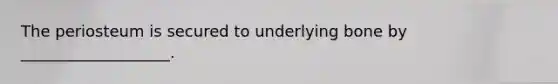 The periosteum is secured to underlying bone by ___________________.