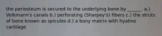 the periosteum is secured to the underlying bone by ______. a.) Volkmann's canals b.) perforating (Sharpey's) fibers c.) the struts of bone known as spicules d.) a bony matrix with hyaline cartilage