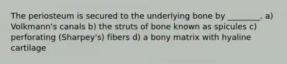 The periosteum is secured to the underlying bone by ________. a) Volkmann's canals b) the struts of bone known as spicules c) perforating (Sharpey's) fibers d) a bony matrix with hyaline cartilage