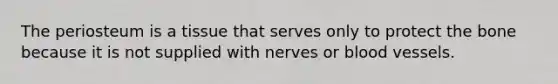 The periosteum is a tissue that serves only to protect the bone because it is not supplied with nerves or blood vessels.