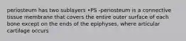 periosteum has two sublayers •PS -periosteum is a connective tissue membrane that covers the entire outer surface of each bone except on the ends of the epiphyses, where articular cartilage occurs