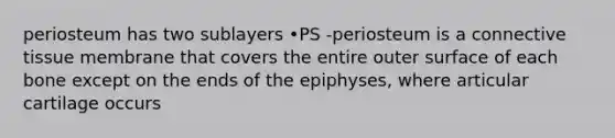 periosteum has two sublayers •PS -periosteum is a <a href='https://www.questionai.com/knowledge/kYDr0DHyc8-connective-tissue' class='anchor-knowledge'>connective tissue</a> membrane that covers the entire outer surface of each bone except on the ends of the epiphyses, where articular cartilage occurs