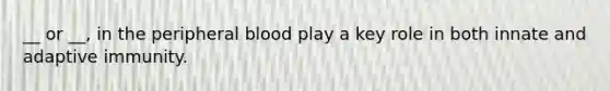 __ or __, in the peripheral blood play a key role in both innate and adaptive immunity.