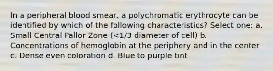 In a peripheral blood smear, a polychromatic erythrocyte can be identified by which of the following characteristics? Select one: a. Small Central Pallor Zone (<1/3 diameter of cell) b. Concentrations of hemoglobin at the periphery and in the center c. Dense even coloration d. Blue to purple tint