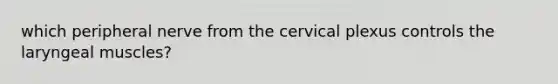 which peripheral nerve from the cervical plexus controls the laryngeal muscles?