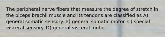 The peripheral nerve fibers that measure the degree of stretch in the biceps brachii muscle and its tendons are classified as A) general somatic sensory. B) general somatic motor. C) special visceral sensory. D) general visceral motor.