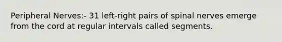 Peripheral Nerves:- 31 left-right pairs of spinal nerves emerge from the cord at regular intervals called segments.