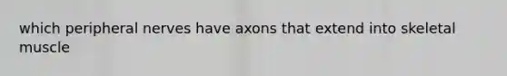 which peripheral nerves have axons that extend into skeletal muscle