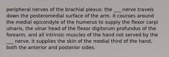 peripheral nerves of the brachial plexus: the ___ nerve travels down the posteromedial surface of the arm. it courses around the medial epicondyle of the humerus to supply the flexor carpi ulnaris, the ulnar head of the flexor digitorum profundus of the forearm, and all intrinsic muscles of the hand not served by the ___ nerve. it supplies the skin of the medial third of the hand, both the anterior and posterior sides.