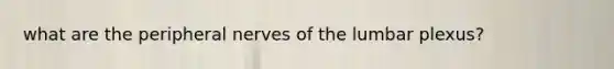 what are the peripheral nerves of the lumbar plexus?