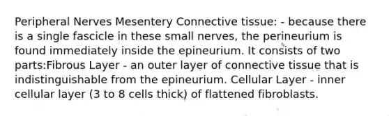 Peripheral Nerves Mesentery Connective tissue: - because there is a single fascicle in these small nerves, the perineurium is found immediately inside the epineurium. It consists of two parts:Fibrous Layer - an outer layer of connective tissue that is indistinguishable from the epineurium. Cellular Layer - inner cellular layer (3 to 8 cells thick) of flattened fibroblasts.