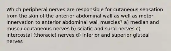 Which peripheral nerves are responsible for cutaneous sensation from the skin of the anterior abdominal wall as well as motor innervation to anterior abdominal wall muscles? a) median and musculocutaneous nerves b) sciatic and sural nerves c) intercostal (thoracic) nerves d) inferior and superior gluteal nerves