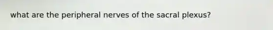 what are the peripheral nerves of the sacral plexus?
