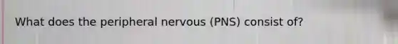 What does the peripheral nervous (PNS) consist of?