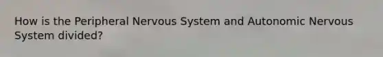 How is the Peripheral Nervous System and Autonomic Nervous System divided?