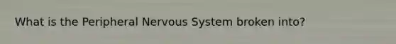 What is the Peripheral Nervous System broken into?