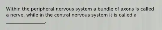 Within the peripheral nervous system a bundle of axons is called a nerve, while in the central nervous system it is called a _________________.