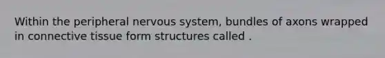 Within the peripheral <a href='https://www.questionai.com/knowledge/kThdVqrsqy-nervous-system' class='anchor-knowledge'>nervous system</a>, bundles of axons wrapped in <a href='https://www.questionai.com/knowledge/kYDr0DHyc8-connective-tissue' class='anchor-knowledge'>connective tissue</a> form structures called .