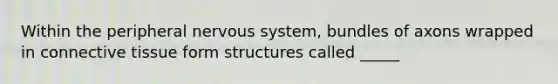 Within the peripheral nervous system, bundles of axons wrapped in connective tissue form structures called _____