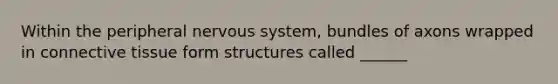 Within the peripheral nervous system, bundles of axons wrapped in connective tissue form structures called ______