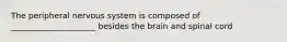 The peripheral nervous system is composed of _____________________ besides the brain and spinal cord