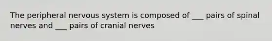 The peripheral nervous system is composed of ___ pairs of spinal nerves and ___ pairs of cranial nerves