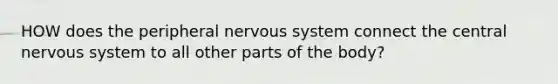 HOW does the peripheral nervous system connect the central nervous system to all other parts of the body?