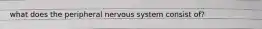 what does the peripheral nervous system consist of?