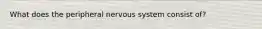 What does the peripheral nervous system consist of?