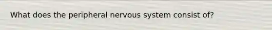 What does the peripheral nervous system consist of?