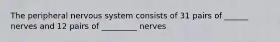 The peripheral <a href='https://www.questionai.com/knowledge/kThdVqrsqy-nervous-system' class='anchor-knowledge'>nervous system</a> consists of 31 pairs of ______ nerves and 12 pairs of _________ nerves