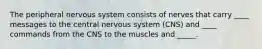 The peripheral nervous system consists of nerves that carry ____ messages to the central nervous system (CNS) and ____ commands from the CNS to the muscles and _____.