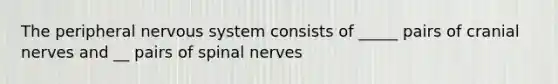 The peripheral nervous system consists of _____ pairs of cranial nerves and __ pairs of spinal nerves