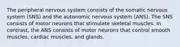 The peripheral nervous system consists of the somatic nervous system (SNS) and the autonomic nervous system (ANS). The SNS consists of motor neurons that stimulate skeletal muscles. In contrast, the ANS consists of motor neurons that control smooth muscles, cardiac muscles, and glands.