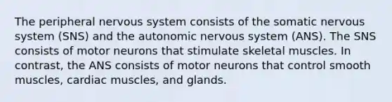 The peripheral nervous system consists of the somatic nervous system (SNS) and the autonomic nervous system (ANS). The SNS consists of motor neurons that stimulate skeletal muscles. In contrast, the ANS consists of motor neurons that control smooth muscles, cardiac muscles, and glands.