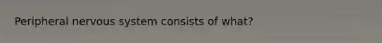 Peripheral nervous system consists of what?