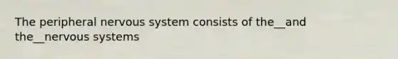 The peripheral nervous system consists of the__and the__nervous systems