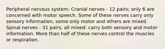 Peripheral nervous system: Cranial nerves - 12 pairs; only 6 are concerned with motor speech. Some of these nerves carry only sensory information, some only motor and others are mixed. Spinal nerves - 31 pairs; all mixed: carry both sensory and motor information. More than half of these nerves control the muscles or respiration.